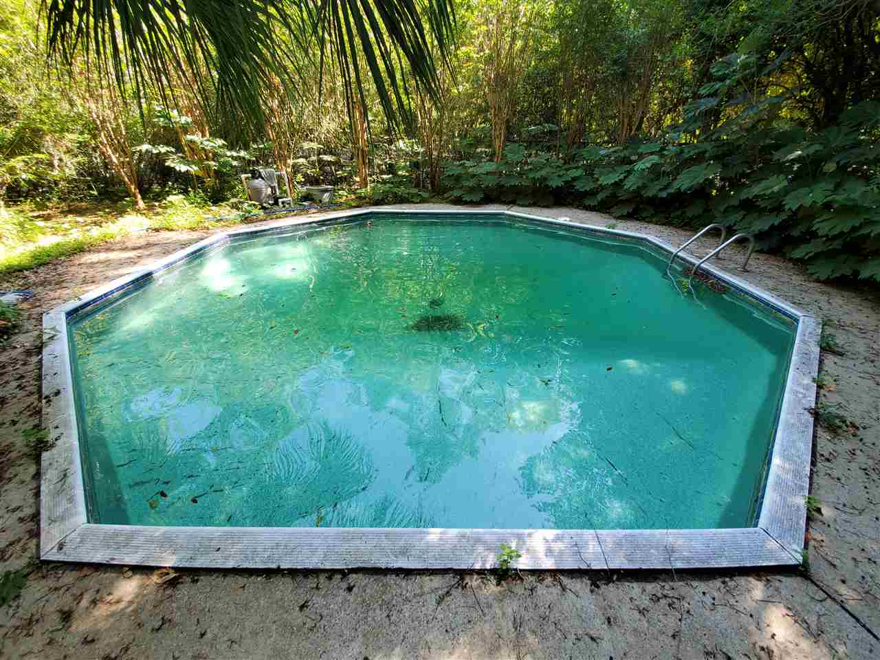 2247 Armistead Road Tallahassee, FL 32308 - Photo 5 of 34 Gallery Image 5