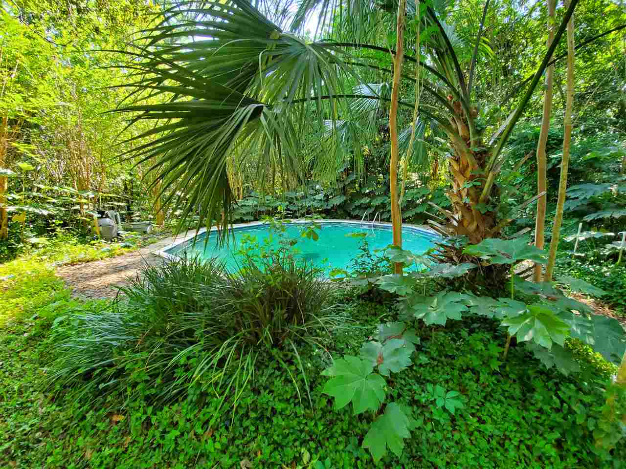 2247 Armistead Road Tallahassee, FL 32308 - Photo 6 of 34 Gallery Image 6