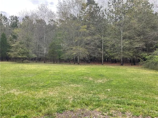 a view of a yard with a tree