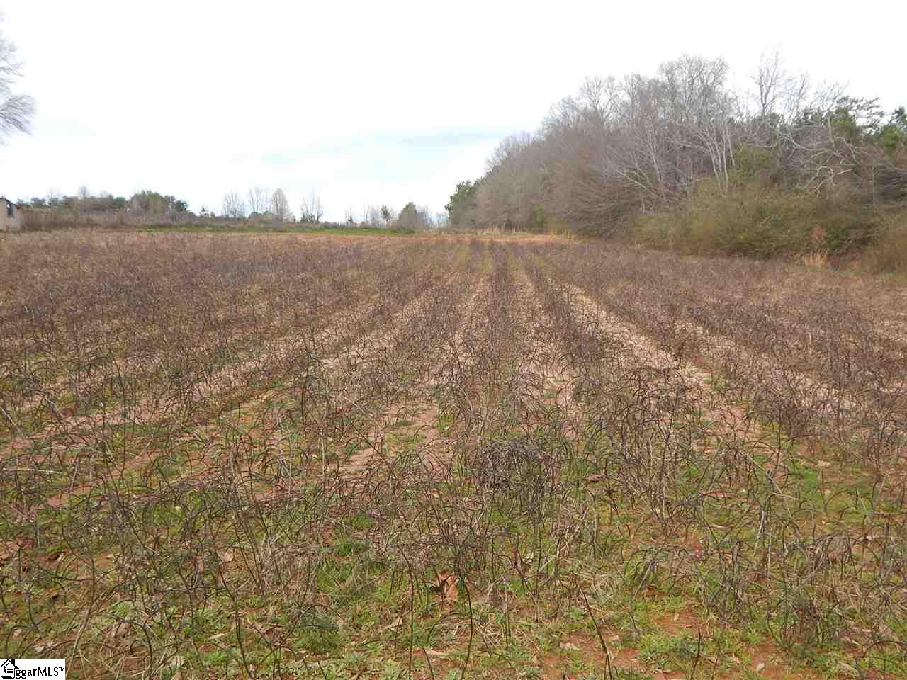 178 Coleman Road Wellford, SC 29385 - Photo 2 of 6