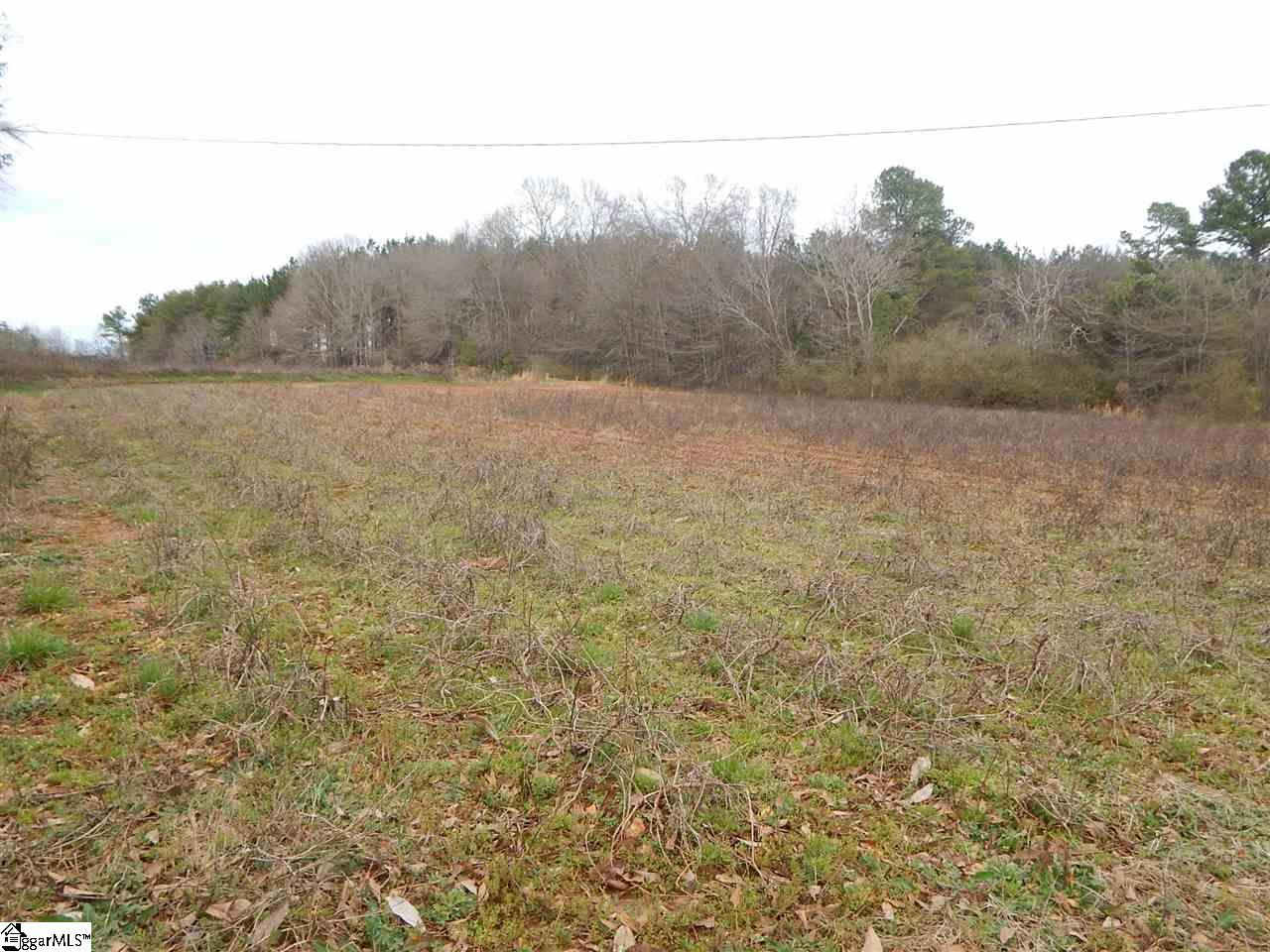 178 Coleman Road Wellford, SC 29385 - Photo 3 of 6