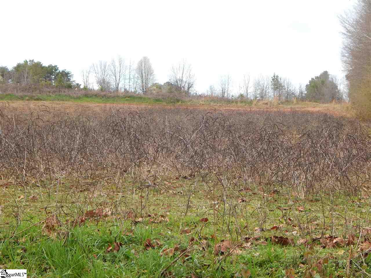 178 Coleman Road Wellford, SC 29385 - Photo 4 of 6