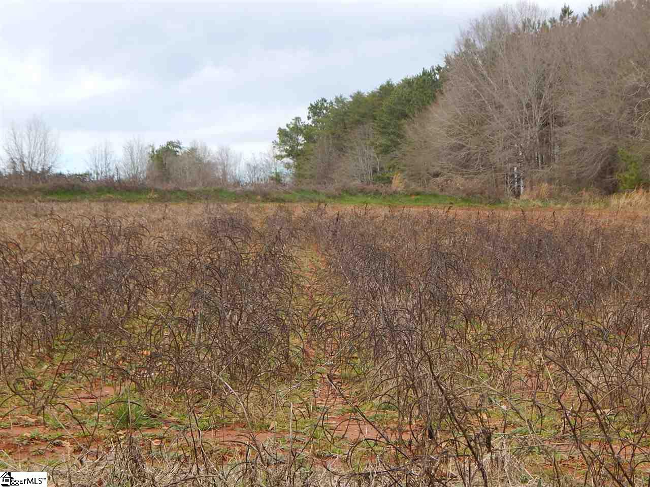 178 Coleman Road Wellford, SC 29385 - Photo 5 of 6