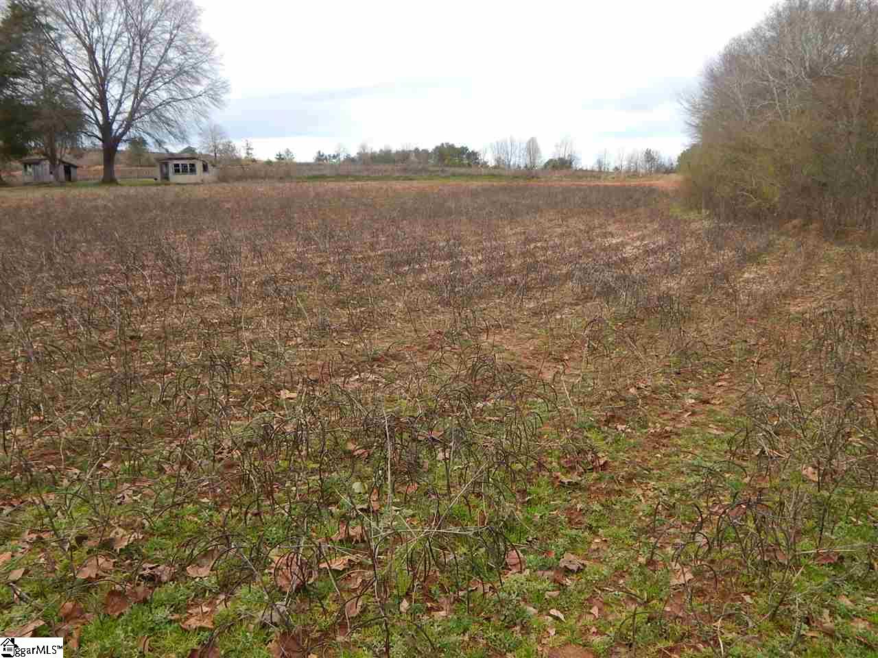 178 Coleman Road Wellford, SC 29385 - Photo 6 of 6