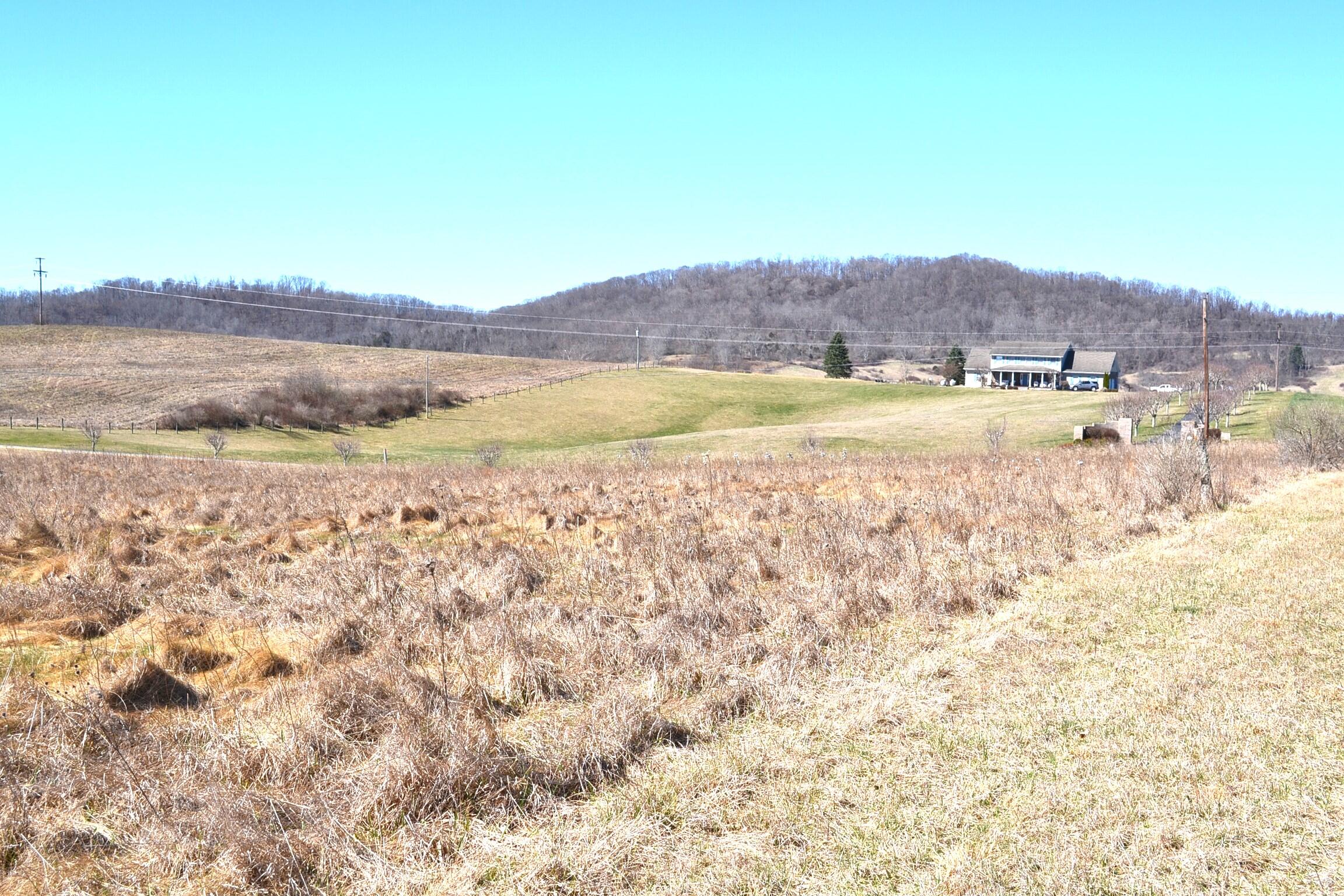 Fairview Road Lewisburg, WV 24901 - Photo 22 of 29 DSC_0016
