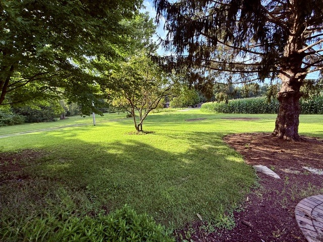 2636 South Homer Lake Road Homer, IL 61849 - Photo 53 of 176