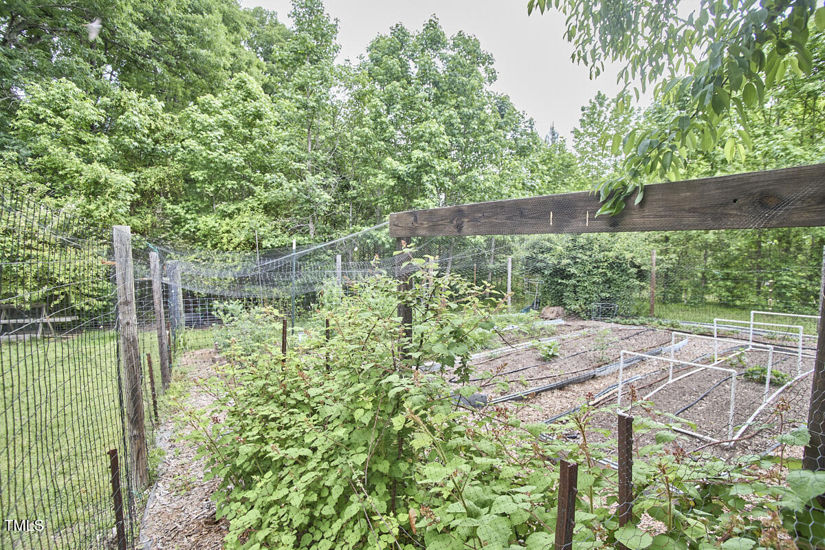 909 Goodwin Road Durham, NC 27712 - Photo 37 of 52 a backyard of a house with lots of green space and plants