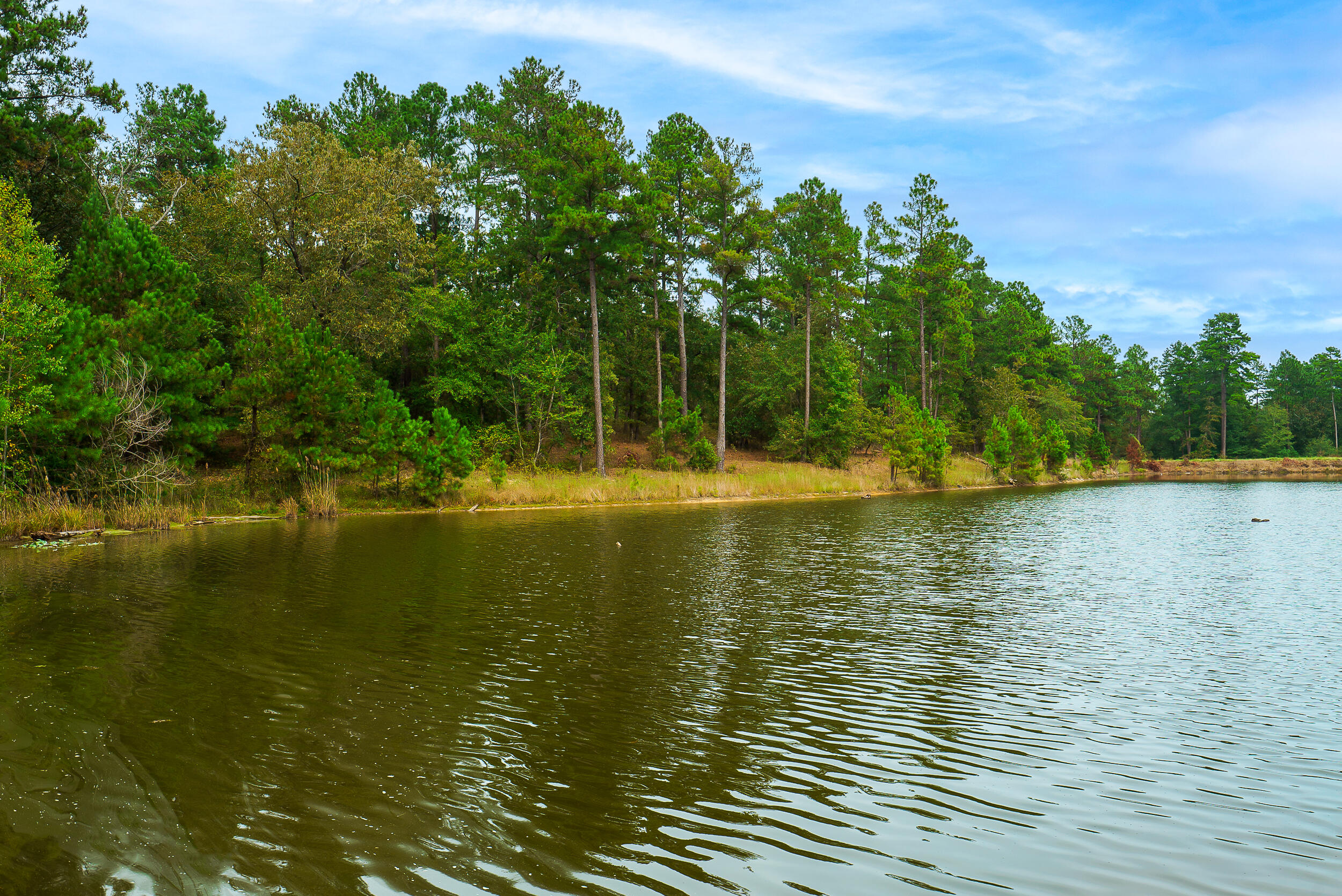 411 Snipes Pond Road Aiken, SC 29805 - Photo 11 of 23