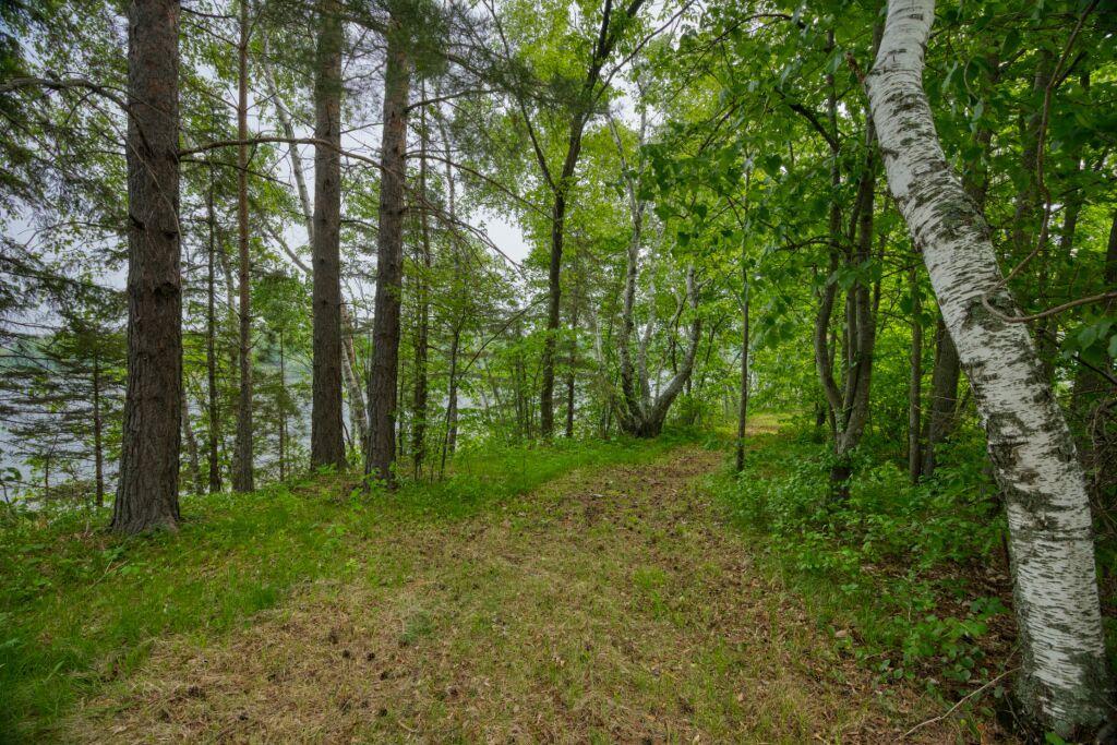 30901 Sunny Beach Road Grand Rapids, MN 55744 - Photo 28 of 35