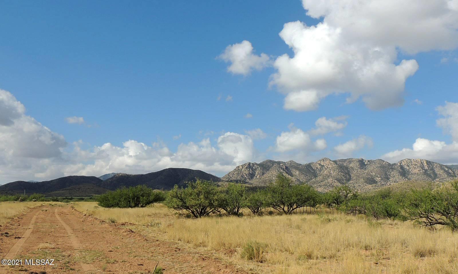 40 Cochise Stronghold Road Cochise, AZ 85606 - Photo 4 of 11