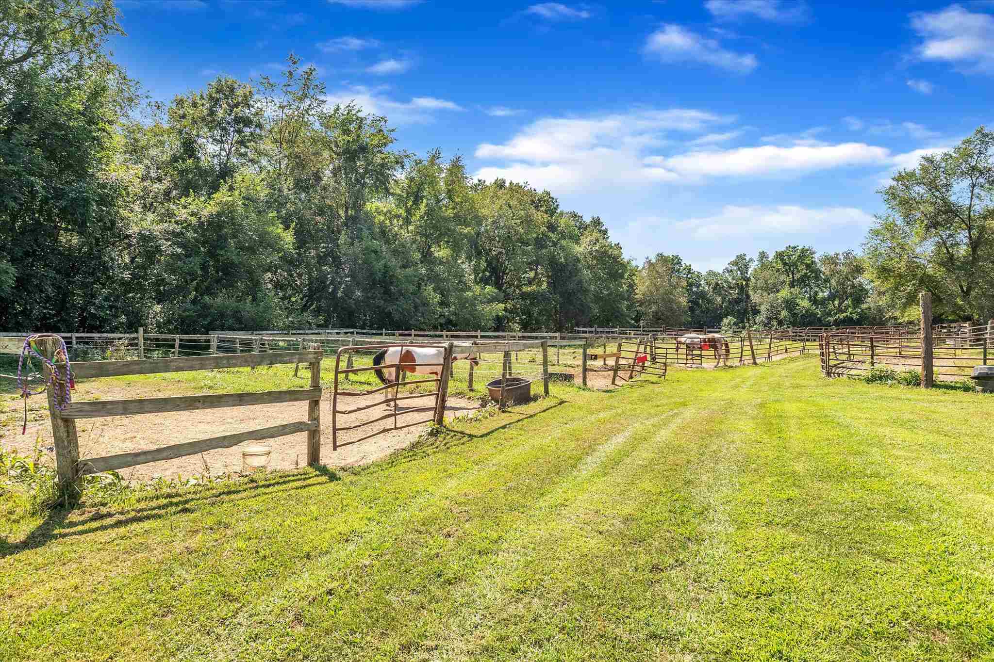 54619 Pear Road South Bend, IN 46628 - Photo 5 of 29