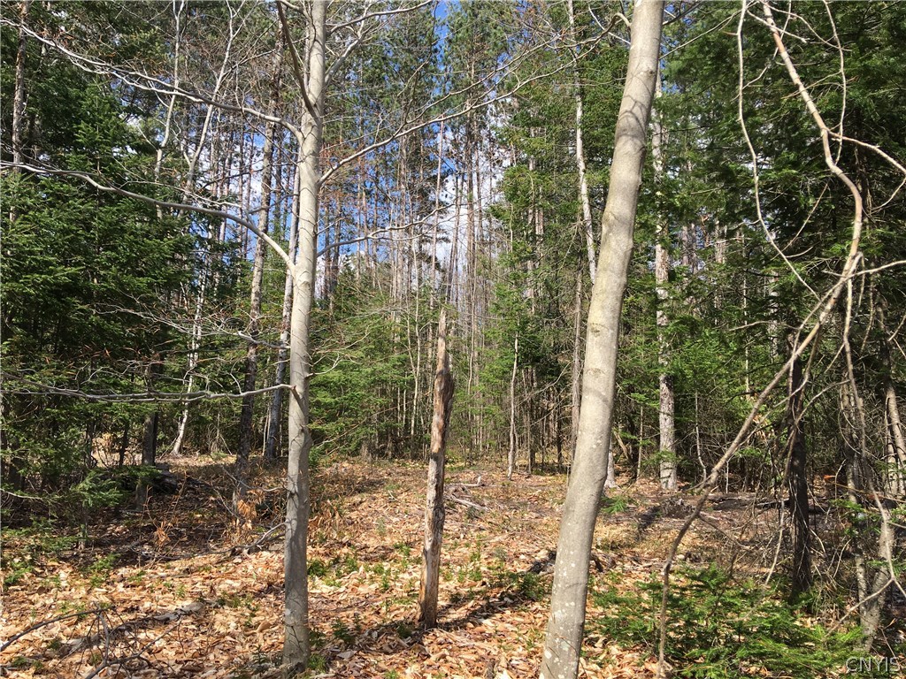 11169 Roberts Road Remsen, NY 13438 - Photo 10 of 28 Gallery Image 10