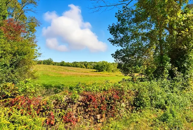 a view of an ocean and beach