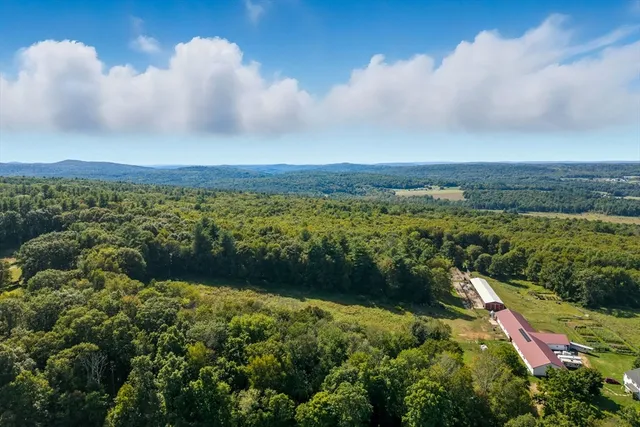 a view of a lake with a city
