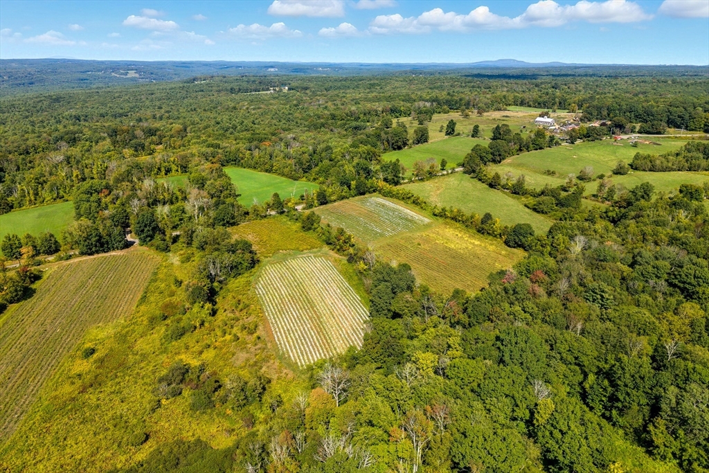 716 Hardwick Road New Braintree, MA 01531 - Photo 7 of 15 a view of an ocean view