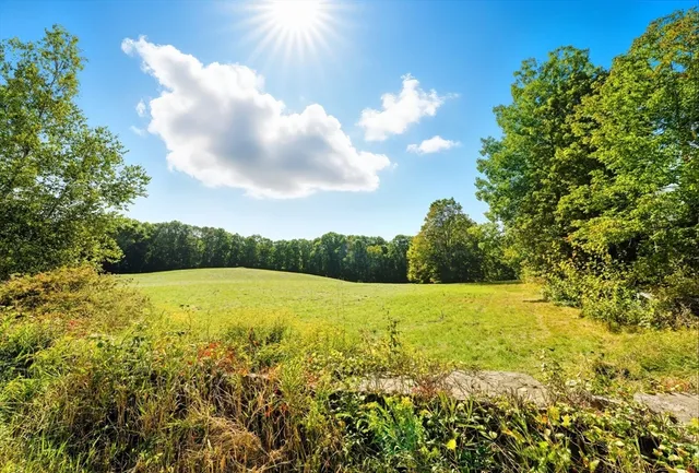 a view of an ocean from a yard