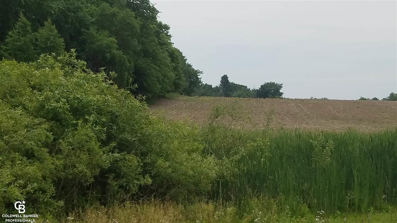 Palms Ville Palms, MI 48465 - Photo 5 of 13