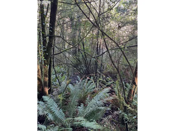$35,000 | Dogwood, Coquille, OR 97423