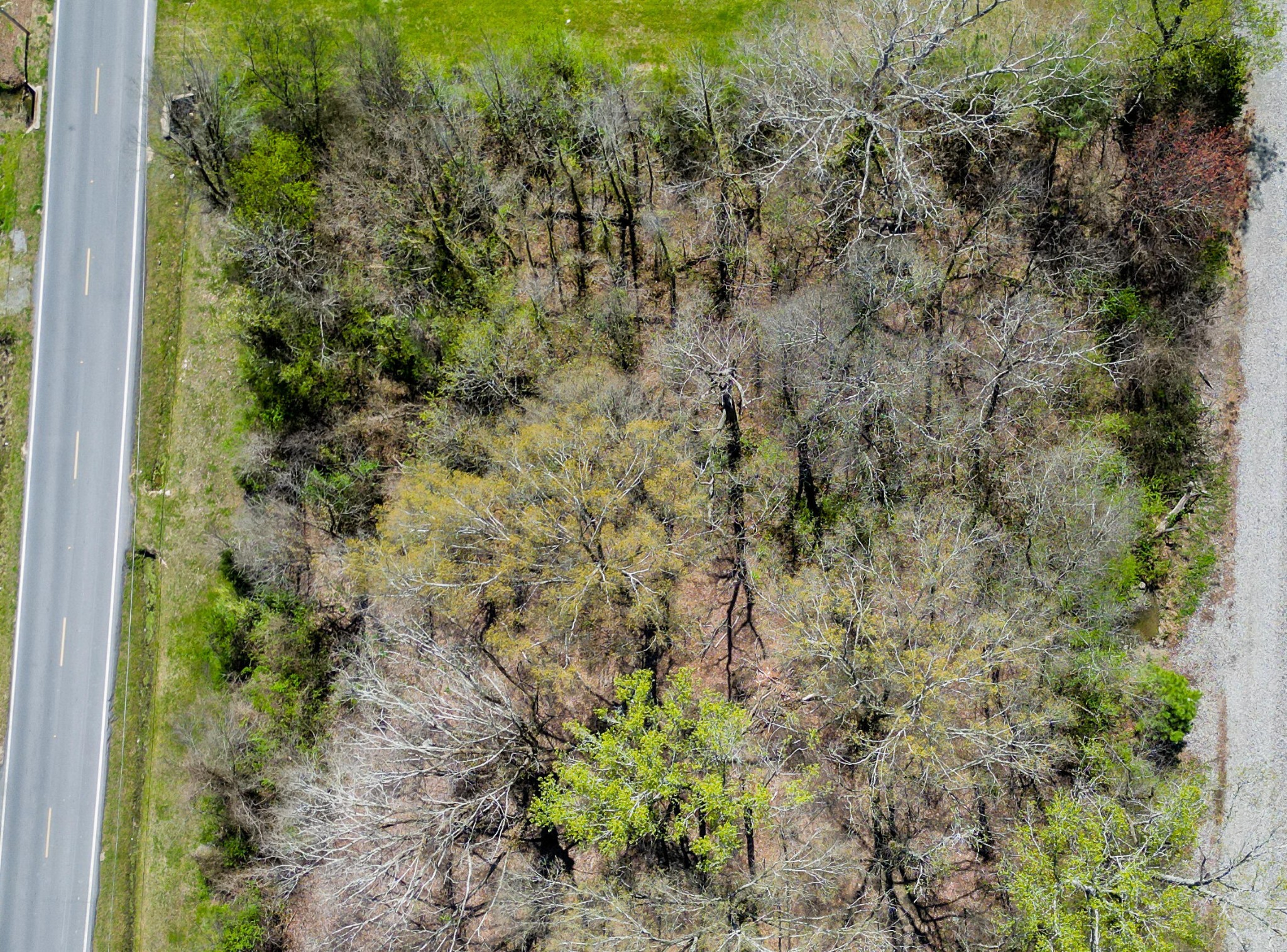 0 Northwest Red Clay Road Northwest Cohutta, GA 30710 - Photo 2 of 3 Gallery Image 2