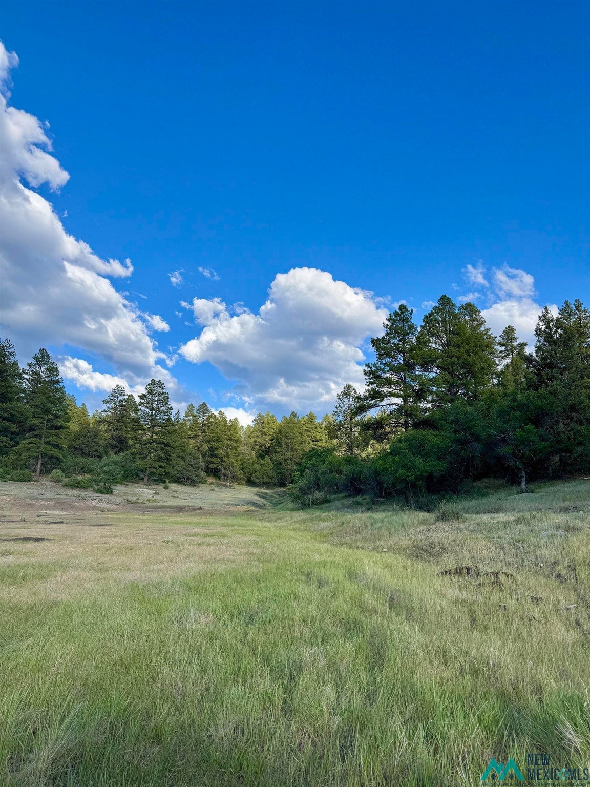 0 Pd 1788 Road Chama, NM 87520 - Photo 14 of 17 Gallery Image 14