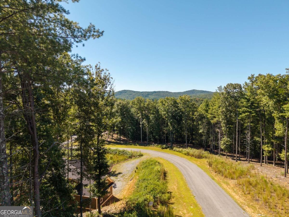 Lot 62 Ridge Drive, Unit 62 Morganton, GA 30560 - Photo 10 of 17 Gallery Image 10