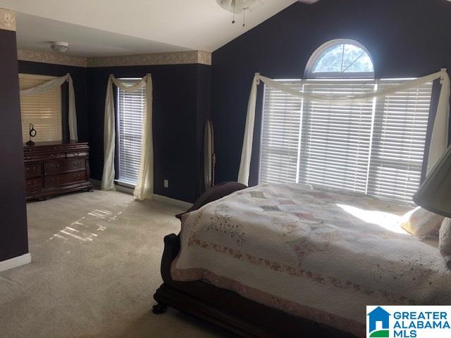 213 Brookshire Road Cropwell, AL 35054 - Photo 25 of 37