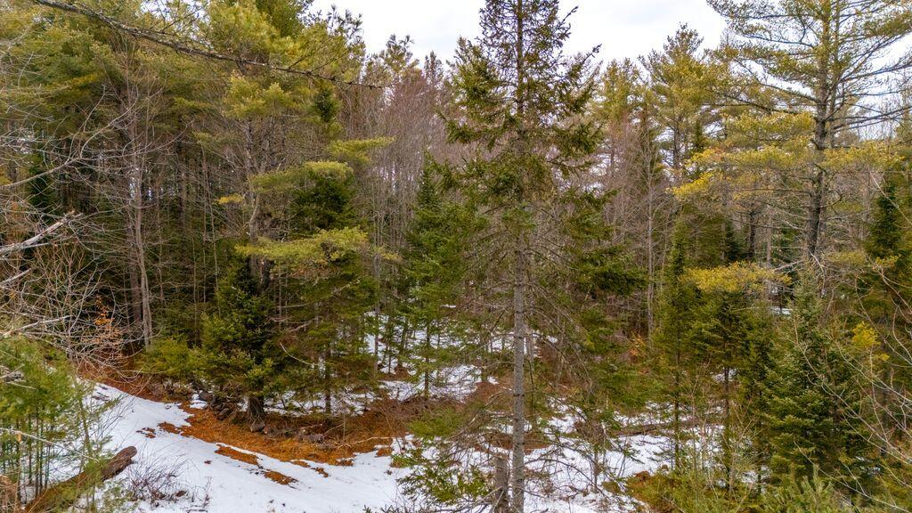 M3-l11c Location Road Belgrade, ME 04917 - Photo 12 of 15