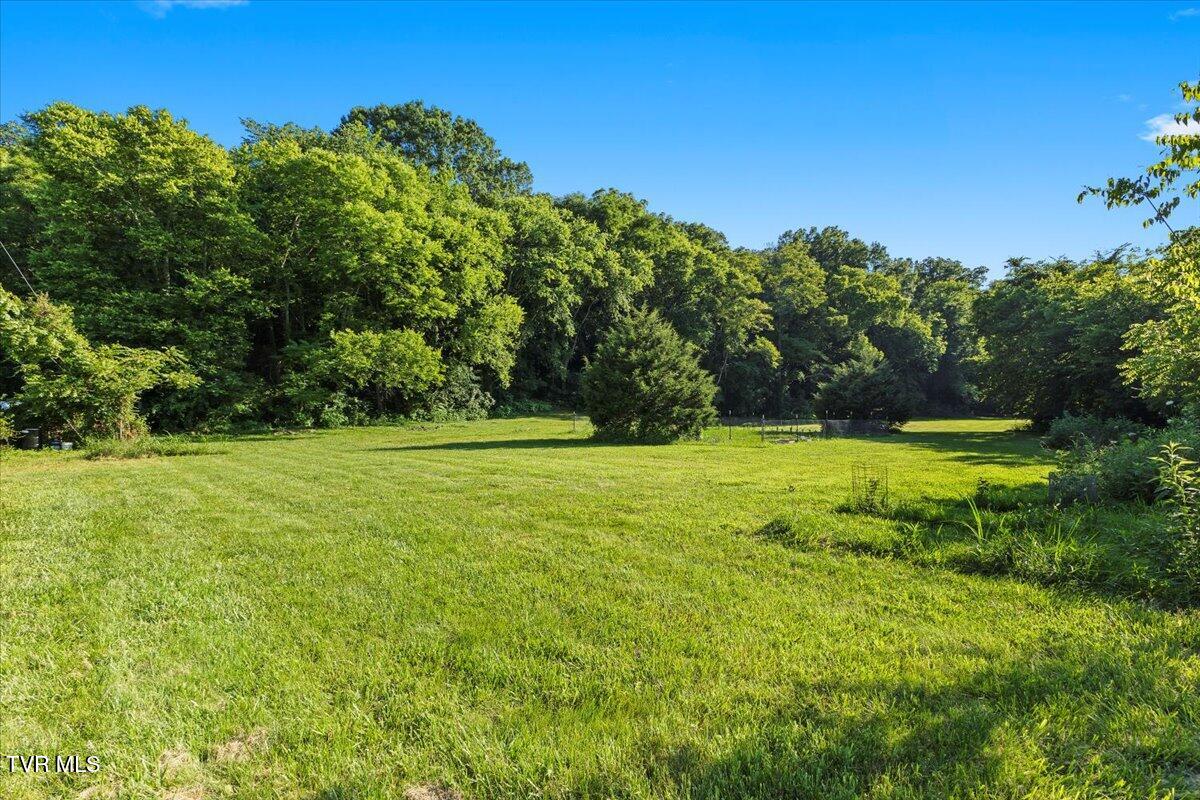 Tbd Piedmont Road New Market, TN 37820 - Photo 11 of 31 10-128A7528