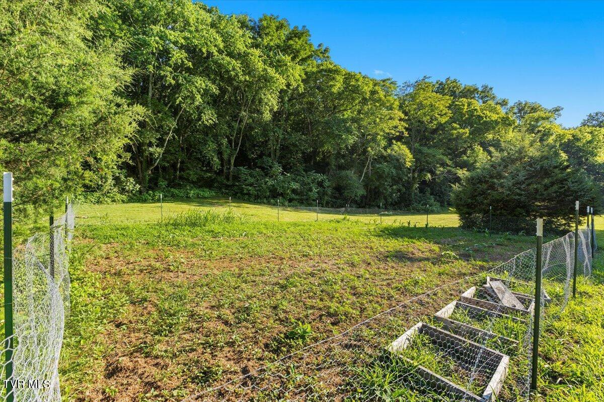Tbd Piedmont Road New Market, TN 37820 - Photo 12 of 31 11-128A7531