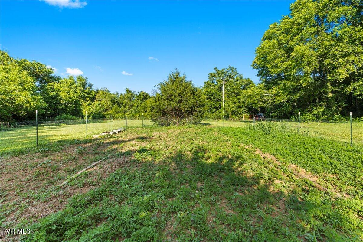 Tbd Piedmont Road New Market, TN 37820 - Photo 13 of 31 12-128A7534