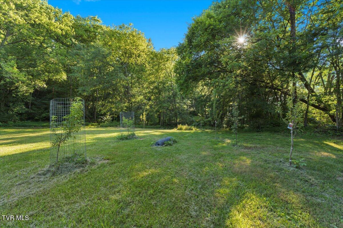 Tbd Piedmont Road New Market, TN 37820 - Photo 18 of 31 18-128A7555