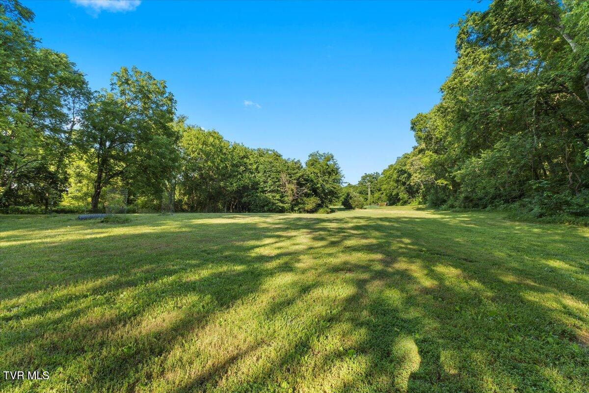 Tbd Piedmont Road New Market, TN 37820 - Photo 19 of 31 19-128A7558