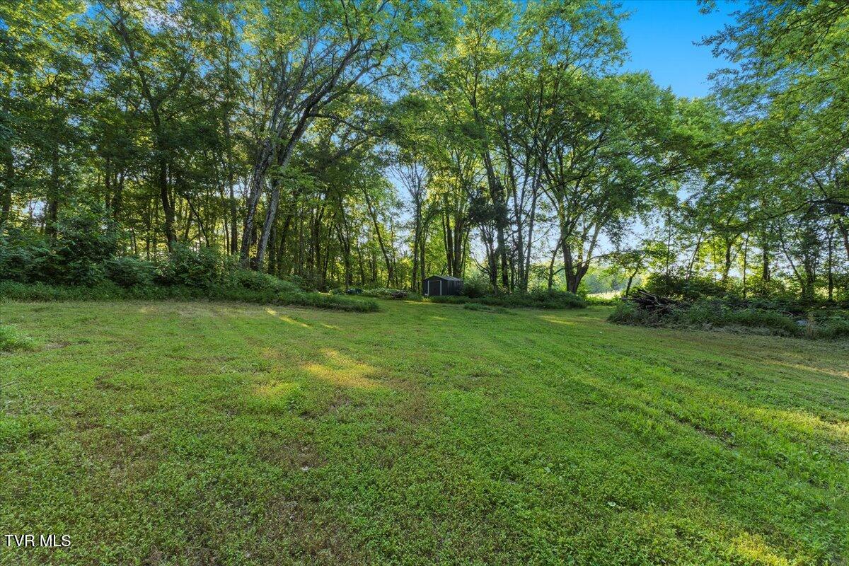 Tbd Piedmont Road New Market, TN 37820 - Photo 20 of 31 20-128A7561