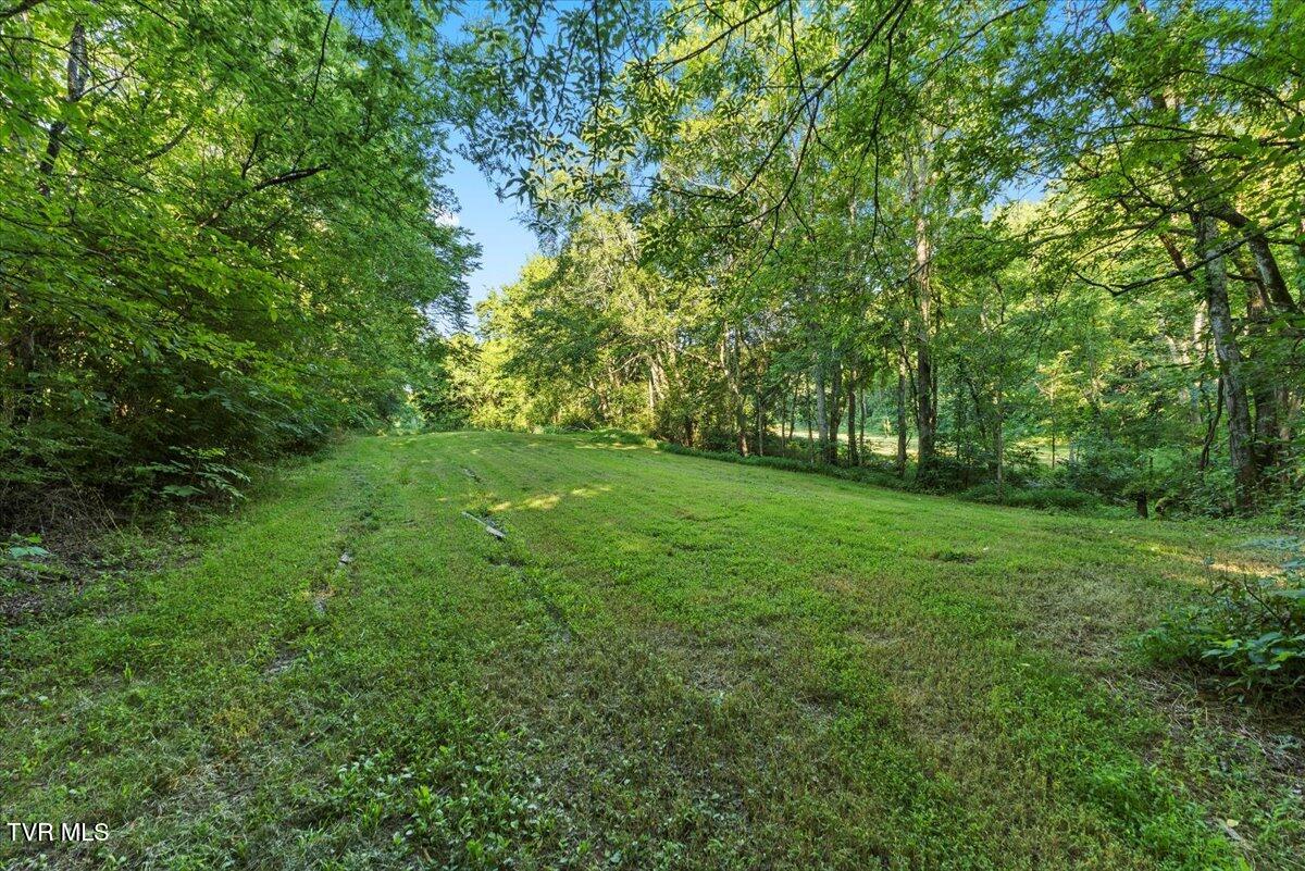 Tbd Piedmont Road New Market, TN 37820 - Photo 21 of 31 21-128A7564