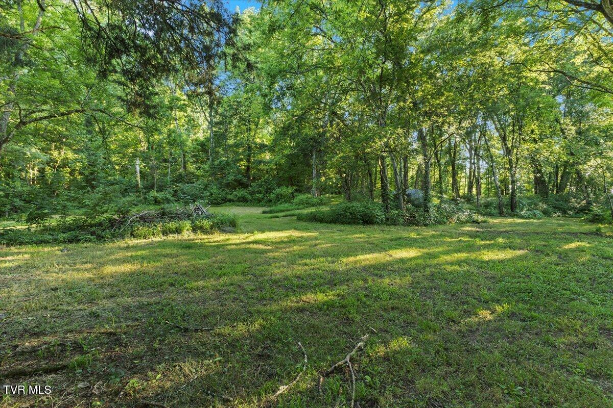 Tbd Piedmont Road New Market, TN 37820 - Photo 22 of 31 22-128A7570