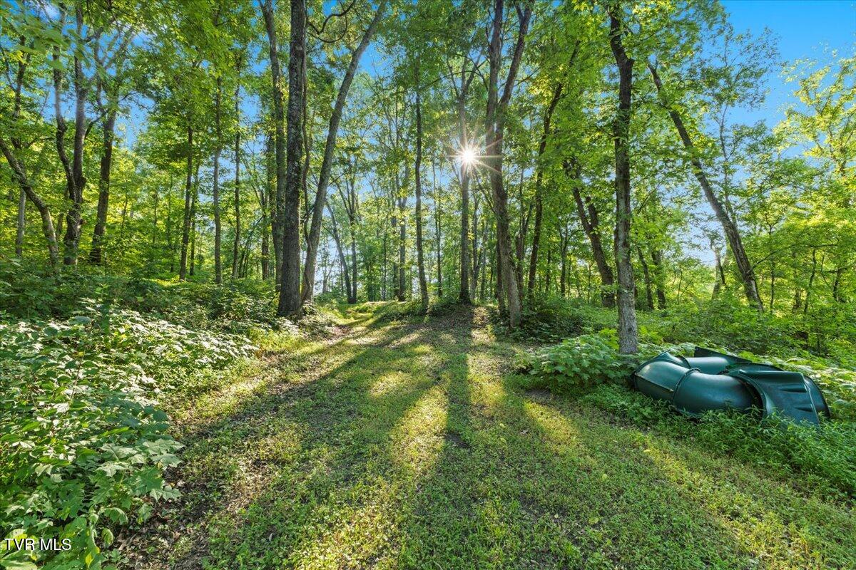 Tbd Piedmont Road New Market, TN 37820 - Photo 24 of 31 24-128A7576