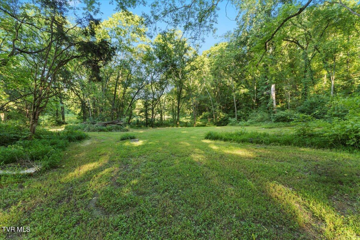 Tbd Piedmont Road New Market, TN 37820 - Photo 25 of 31 25-128A7579