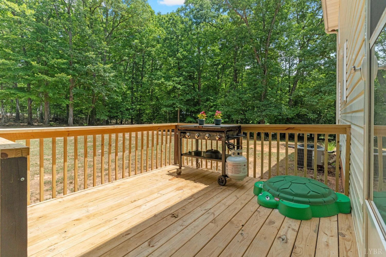 314 Covey Road Amherst, VA 24521 - Photo 38 of 55 Gallery Image 38