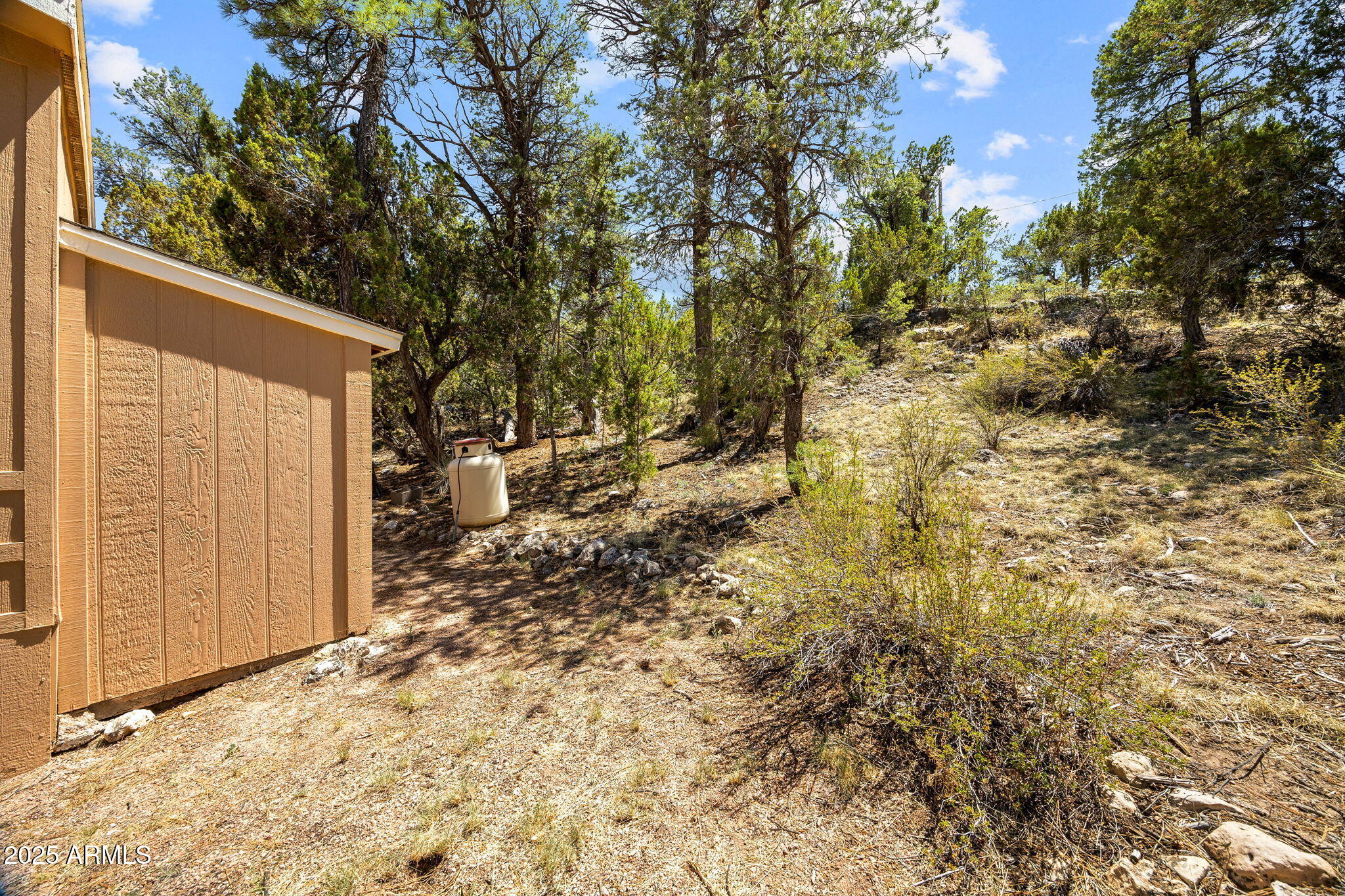 3641 Stagecoach Road Overgaard, AZ 85933 - Photo 22 of 33 3641StageCoachRd-Heber-AZ-22