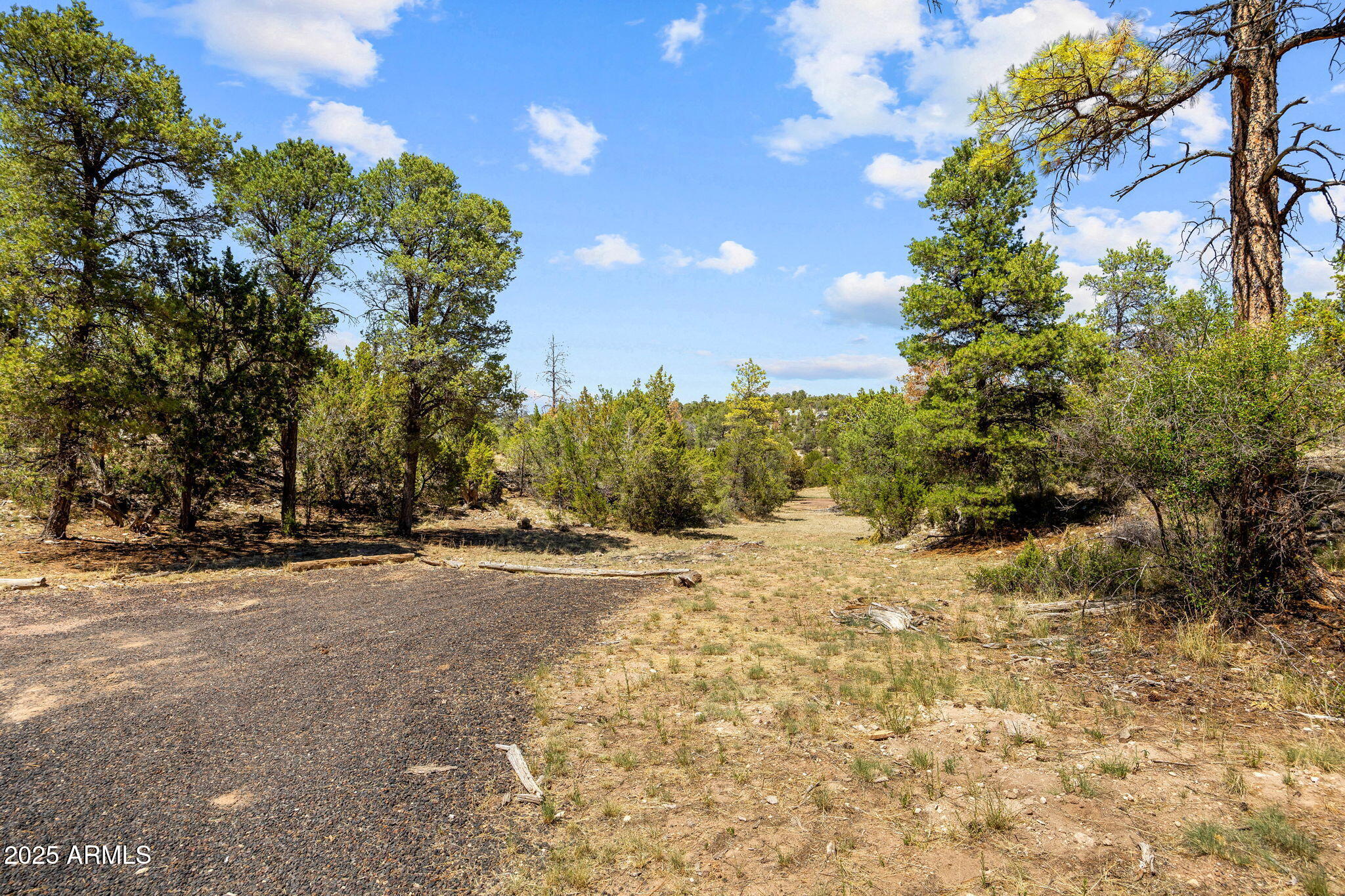 3641 Stagecoach Road Overgaard, AZ 85933 - Photo 24 of 33 3641StageCoachRd-Heber-AZ-24
