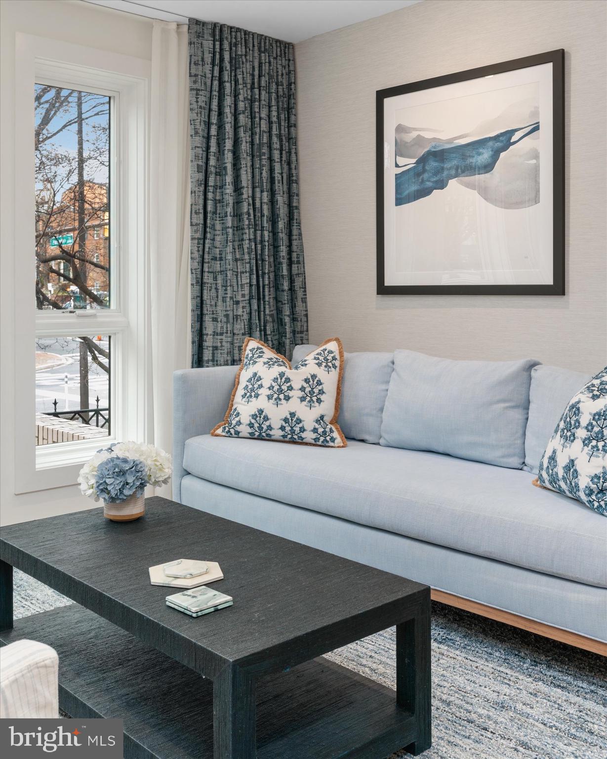7313 Woodmont Avenue, Unit R Bethesda, MD 20814 - Photo 5 of 29 a living room with furniture and a potted plant