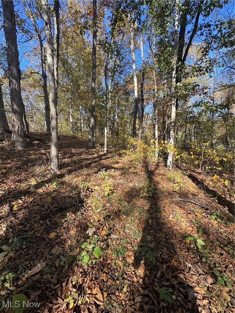 F B Eye Road Blue Rock, OH 43720 - Photo 13 of 41 View of wooded area