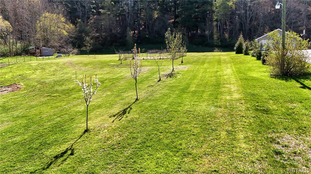 10158 Ballard Road Hume, NY 14735 - Photo 23 of 49