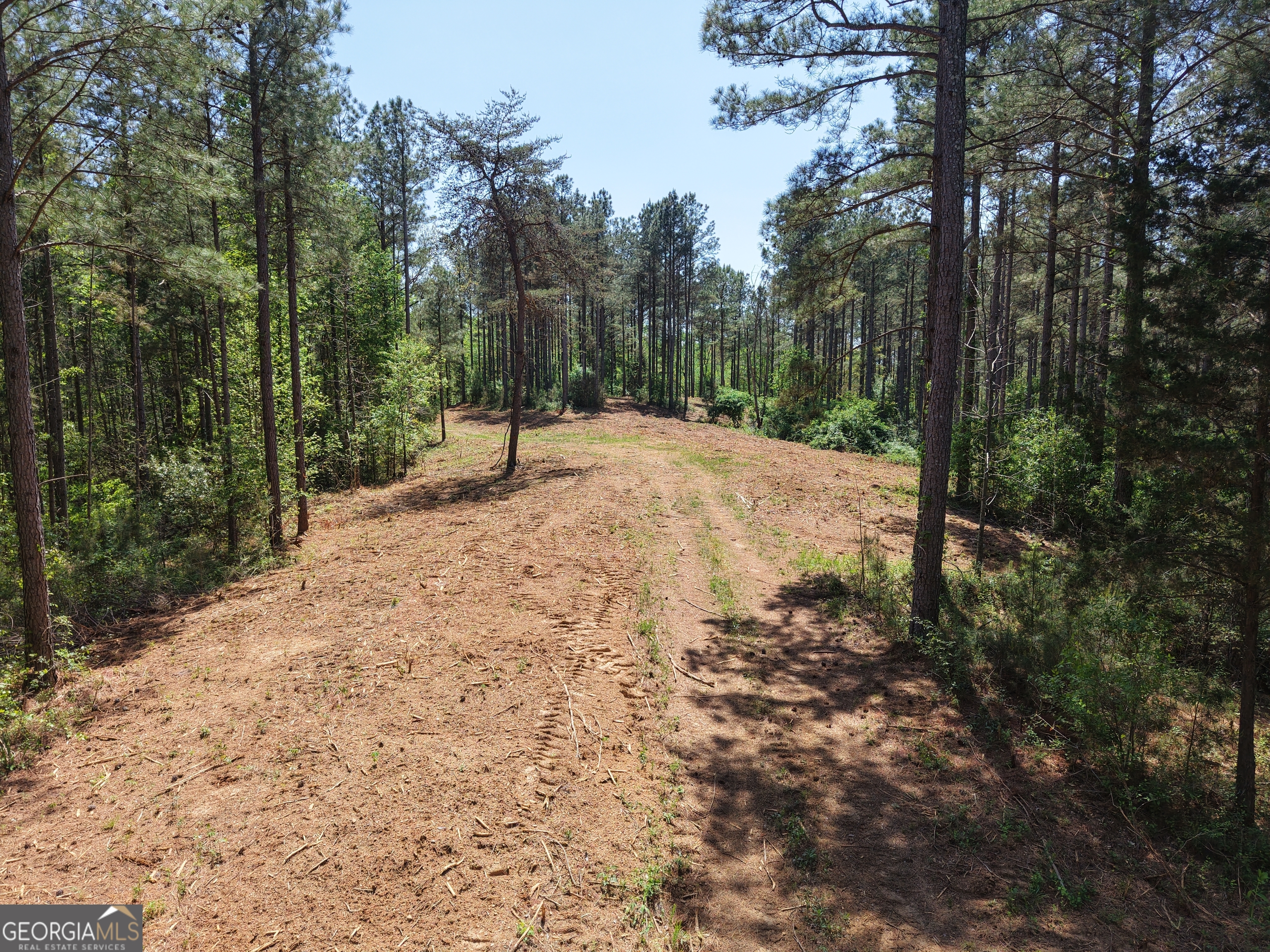 0 Ryo Mountain Road, Unit 9609 Fairmount, GA 30139 - Photo 66 of 87 Gallery Image 66