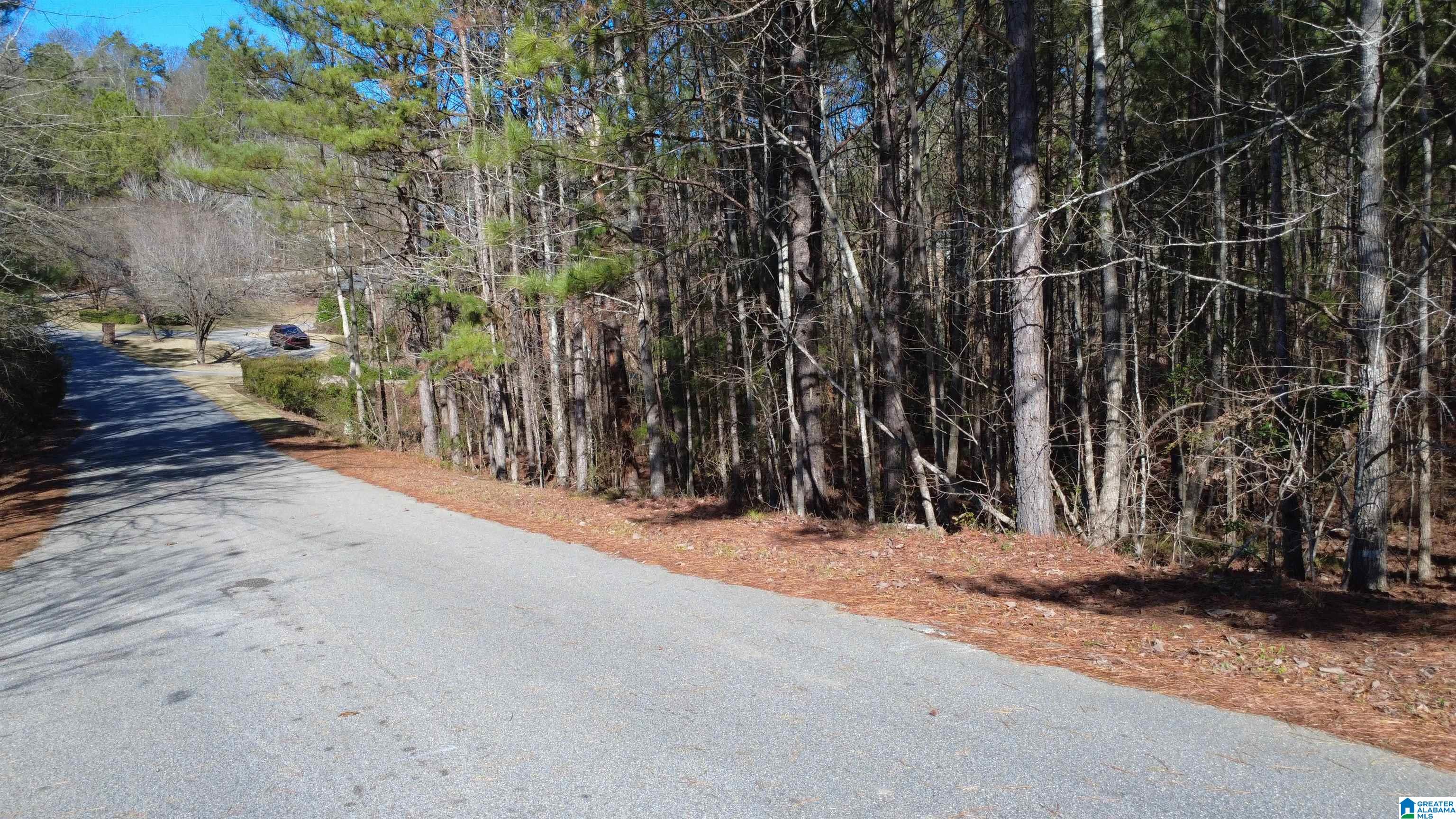 105 Hampton Lane, Unit 13 Pelham, AL 35124 - Photo 25 of 27