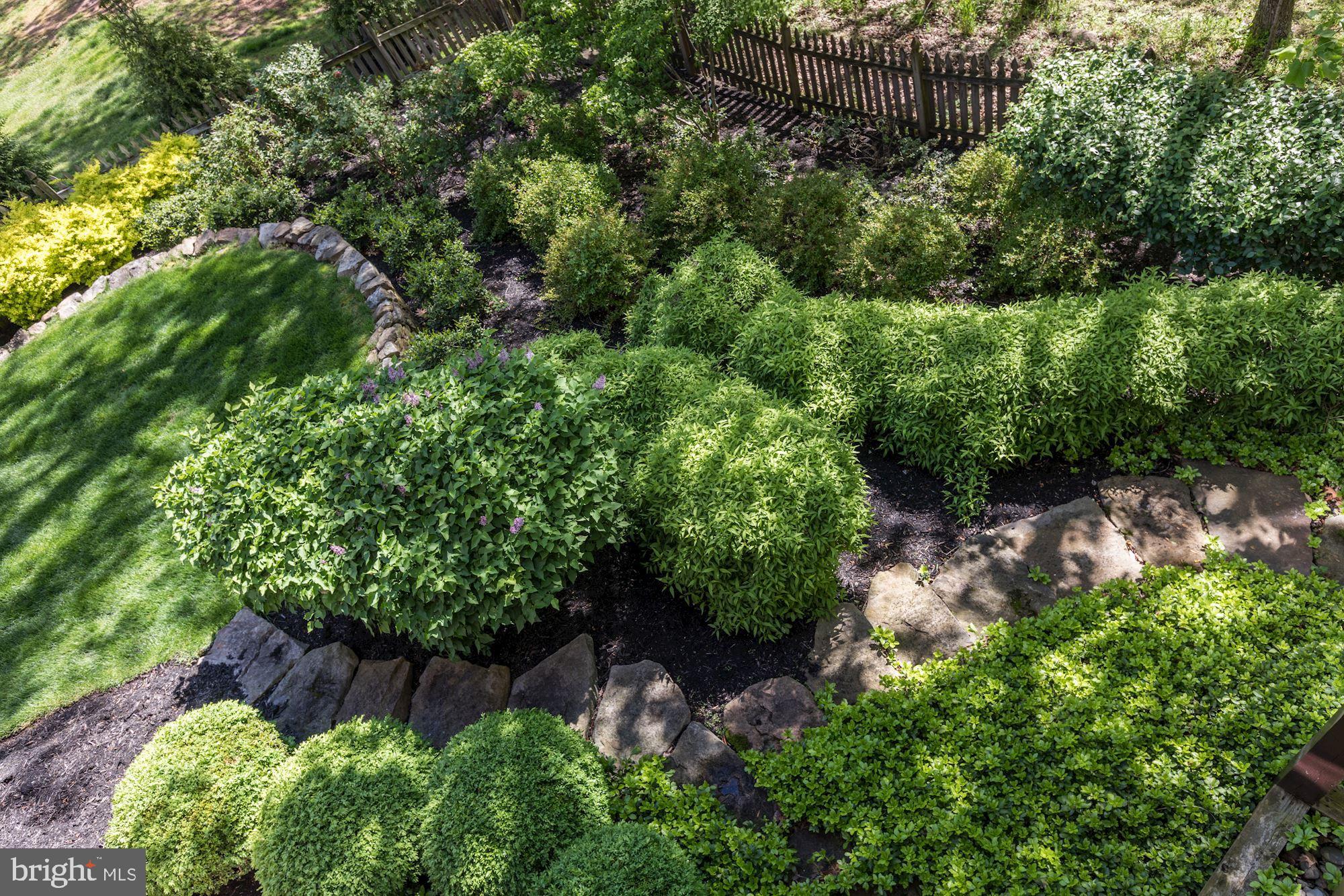 43285 Overview Place Leesburg, VA 20176 - Photo 13 of 91 Backyard with luscious landscaping