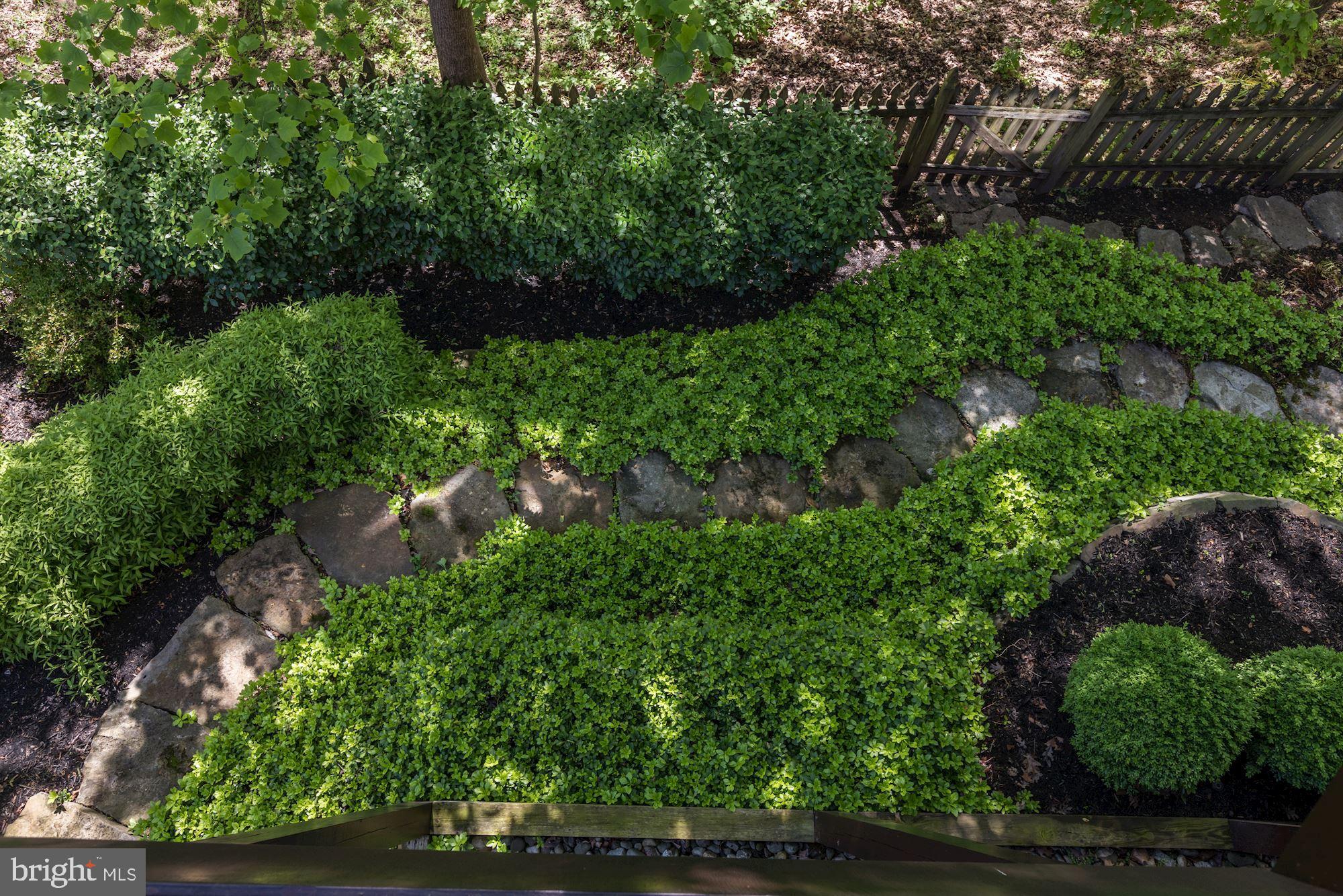 43285 Overview Place Leesburg, VA 20176 - Photo 14 of 91 Backyard with luscious landscaping