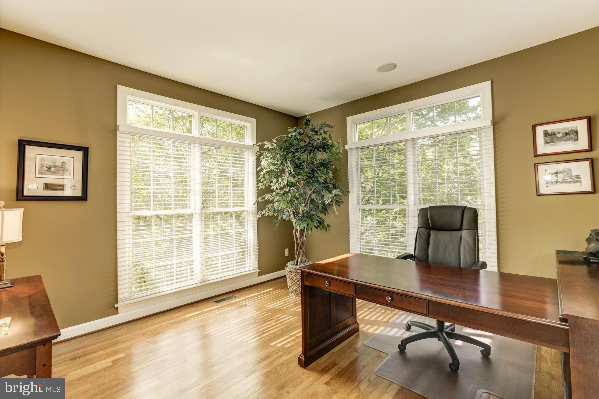43285 Overview Place Leesburg, VA 20176 - Photo 44 of 91 Large office with plenty of light