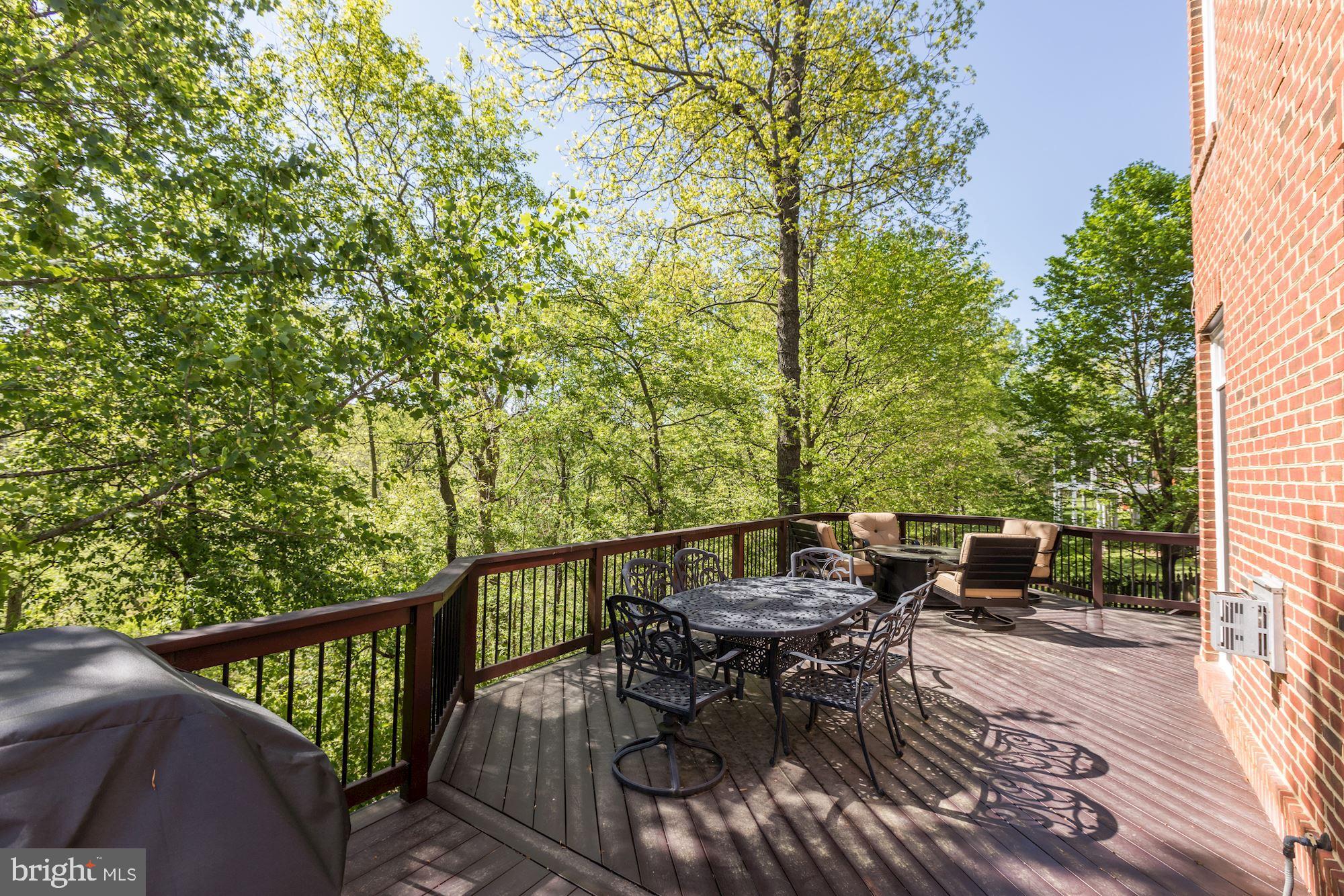 43285 Overview Place Leesburg, VA 20176 - Photo 50 of 91 Large deck for dining table, fire table and grill