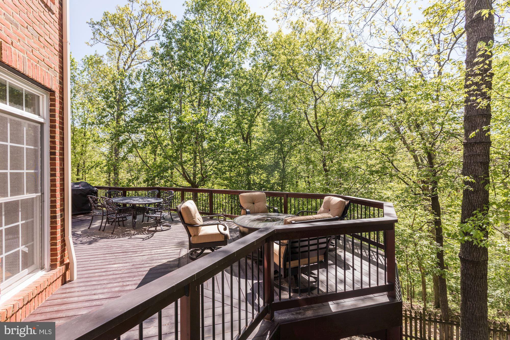 43285 Overview Place Leesburg, VA 20176 - Photo 51 of 91 Deck off family room